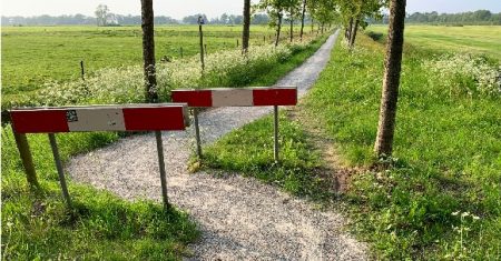 Desire Path, found on Reddit